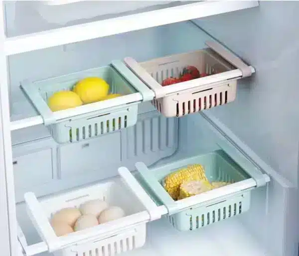 Refrigerator Storage Bo...